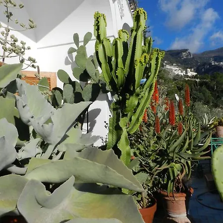 La Dolce A Boutique Guest house 2*