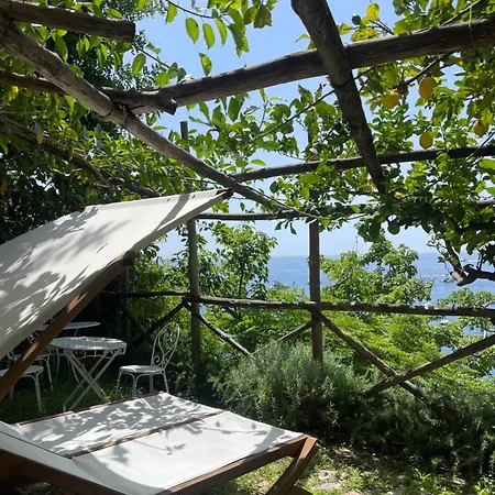 La Dolce A Boutique Konukevi Positano