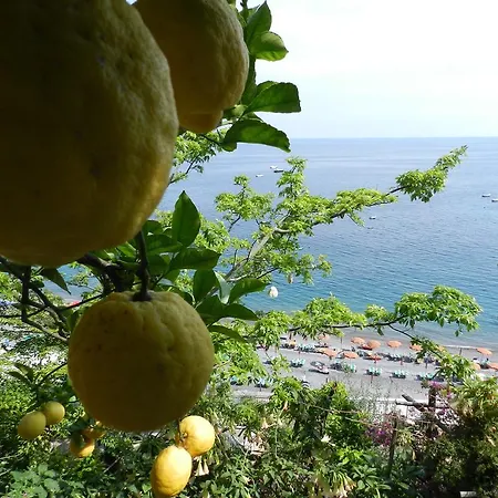 La Dolce A Boutique Konukevi Positano