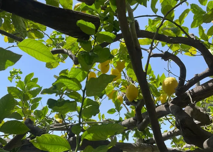 La Dolce A Boutique 4*